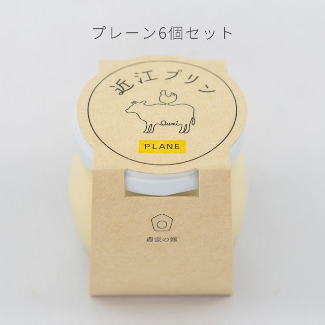 近江プリン プレーン6個セット