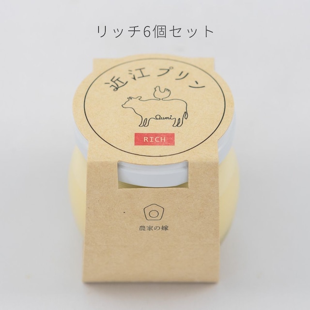 リッチ6個セット